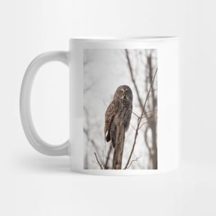 Great Grey Owl in winter Mug